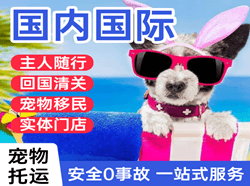 梅州梅县航空托运国际宠物托运 【国